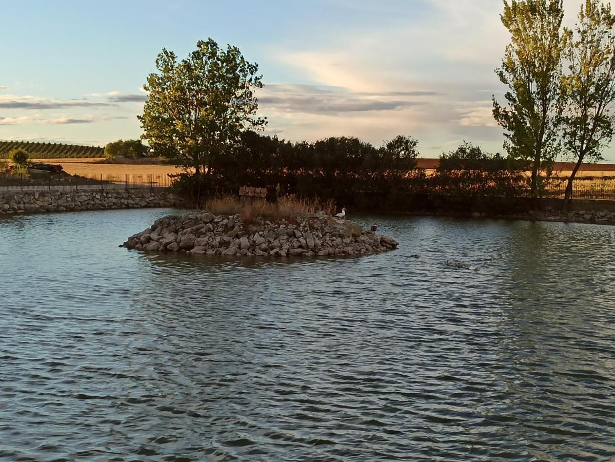 La Olma Villa Campillo de Aranda Dış mekan fotoğraf